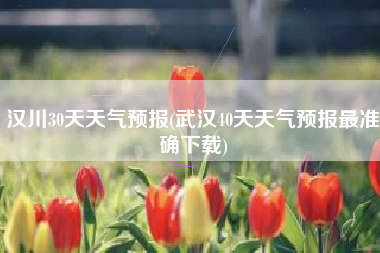 汉川30天天气预报(武汉40天天气预报最准确下载)