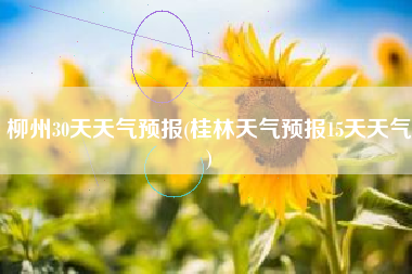 柳州30天天气预报(桂林天气预报15天天气)