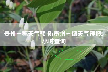 贵州三穗天气预报(贵州三穗天气预报24小时查询)