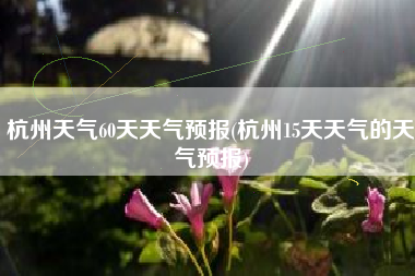 杭州天气60天天气预报(杭州15天天气的天气预报)