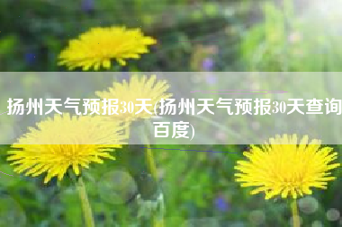 扬州天气预报30天(扬州天气预报30天查询百度)