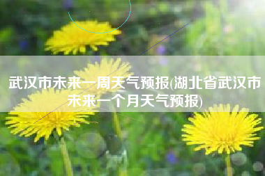 武汉市未来一周天气预报(湖北省武汉市未来一个月天气预报)