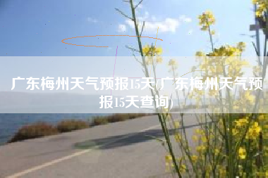 广东梅州天气预报15天(广东梅州天气预报15天查询)