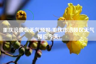 重庆涪陵区天气预报(重庆市涪陵区天气预报今天)