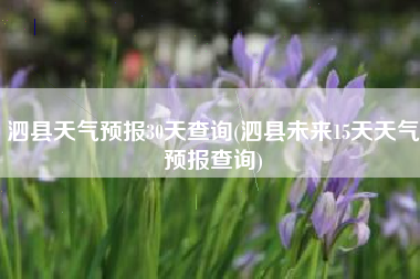 泗县天气预报30天查询(泗县未来15天天气预报查询)