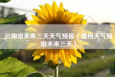 云南省未来三天天气预报（德州天气预报未来三天）