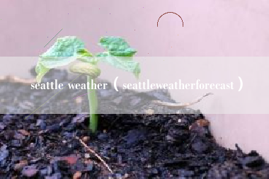 seattle weather（seattleweatherforecast）