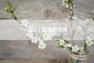 bodum（柏度木纹砖）