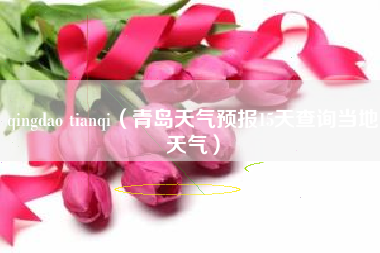 qingdao tianqi（青岛天气预报15天查询当地天气）