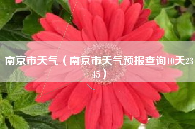 南京市天气（南京市天气预报查询10天2345）