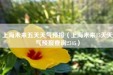 上海未来五天天气预报（上海未来15天天气预报查询2345）