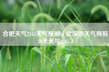 合肥天气2345天气预报（武汉市天气预报30天天气2345）