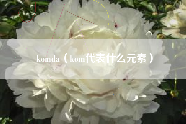 komda（kom代表什么元素）