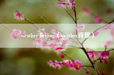 weather beijing（weather背景）