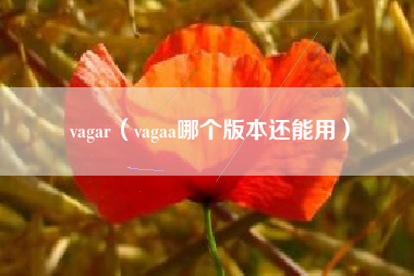 vagar（vagaa哪个版本还能用）