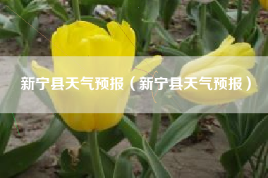 新宁县天气预报（新宁县天气预报）