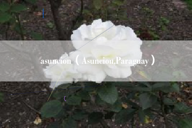 asuncion（Asuncion,Paraguay）