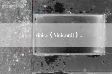 vinica（Vinicantil）
