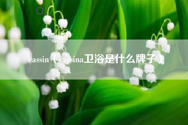 cassin（cassina卫浴是什么牌子）