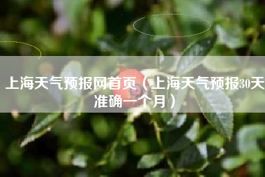 上海天气预报网首页（上海天气预报30天准确一个月）