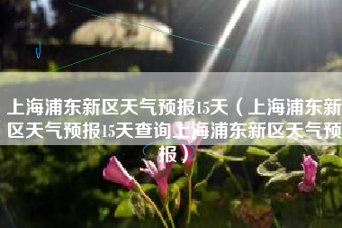 上海浦东新区天气预报15天（上海浦东新区天气预报15天查询上海浦东新区天气预报）
