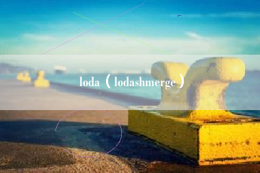 loda（lodashmerge）